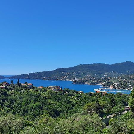Villa Joana Zoagli Bagian luar foto