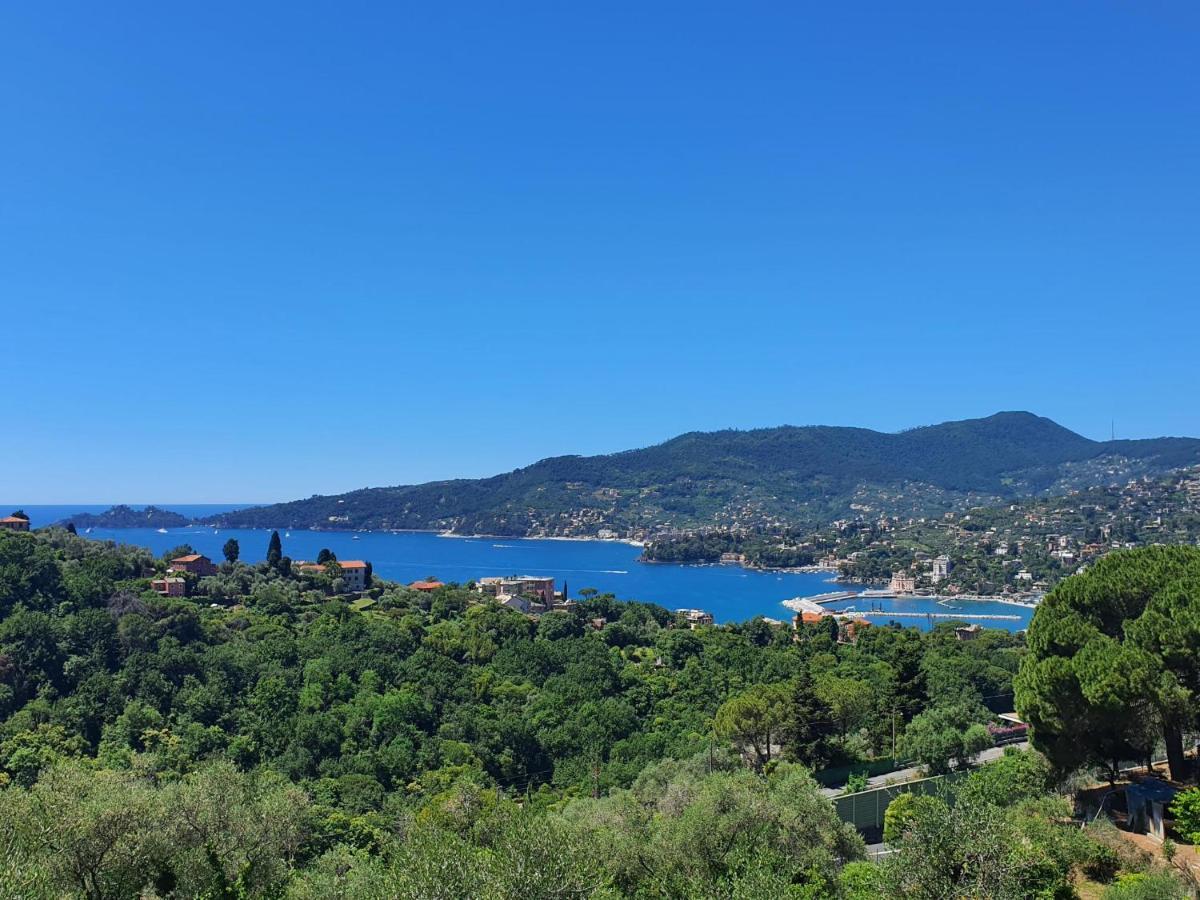 Villa Joana Zoagli Bagian luar foto